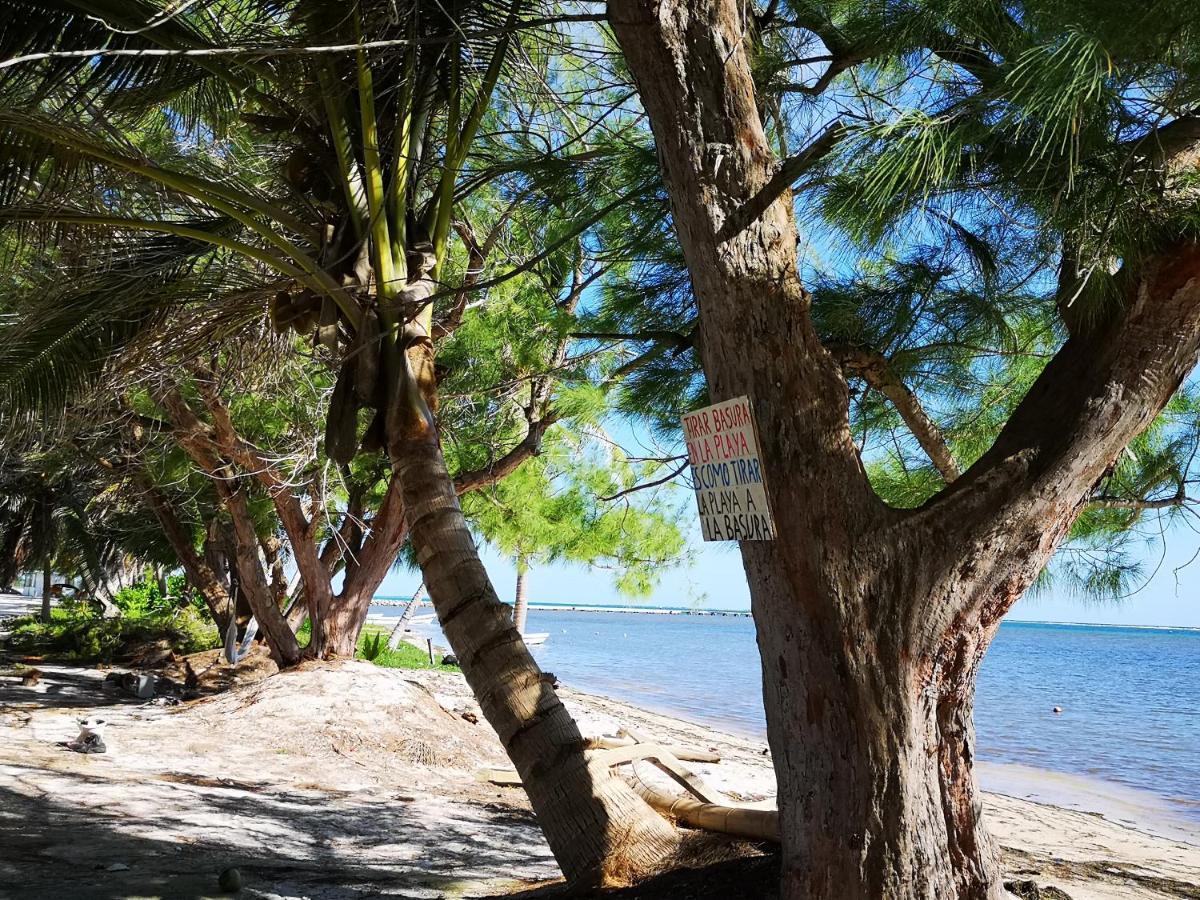 Xcalak Caribe Lodge 外观 照片