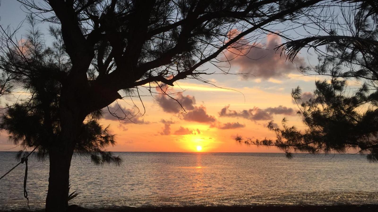 Xcalak Caribe Lodge 外观 照片
